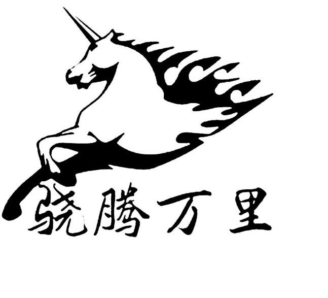 山东骁腾万里医疗科技